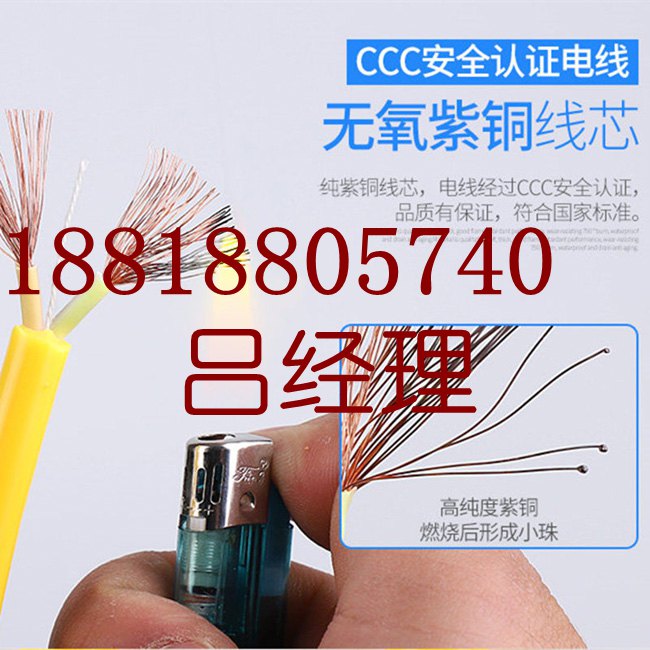 電線電纜  